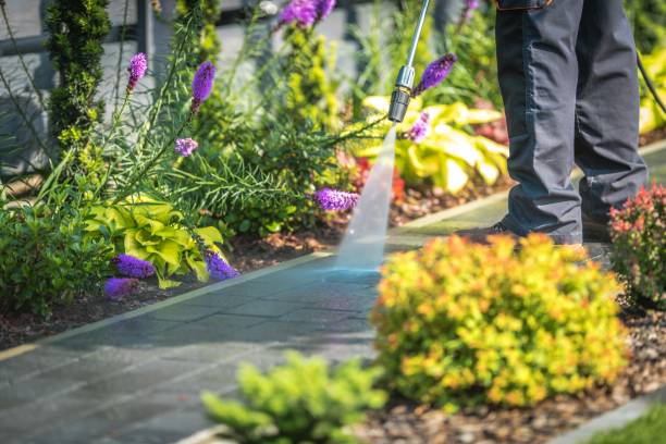 Trusted Inglenook, CT  Pressure Washing Services Experts