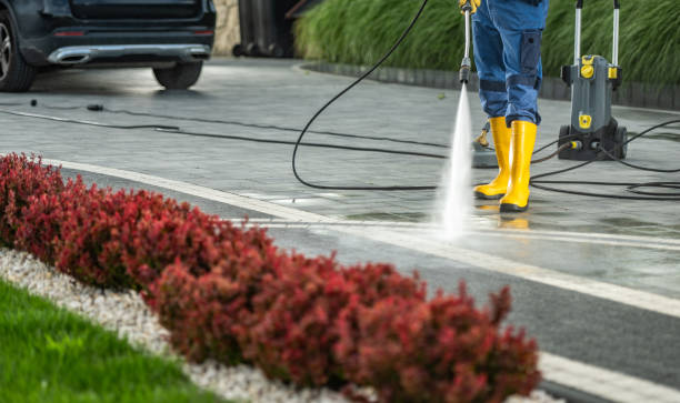 Best House Exterior Washing  in Inglenook, CT